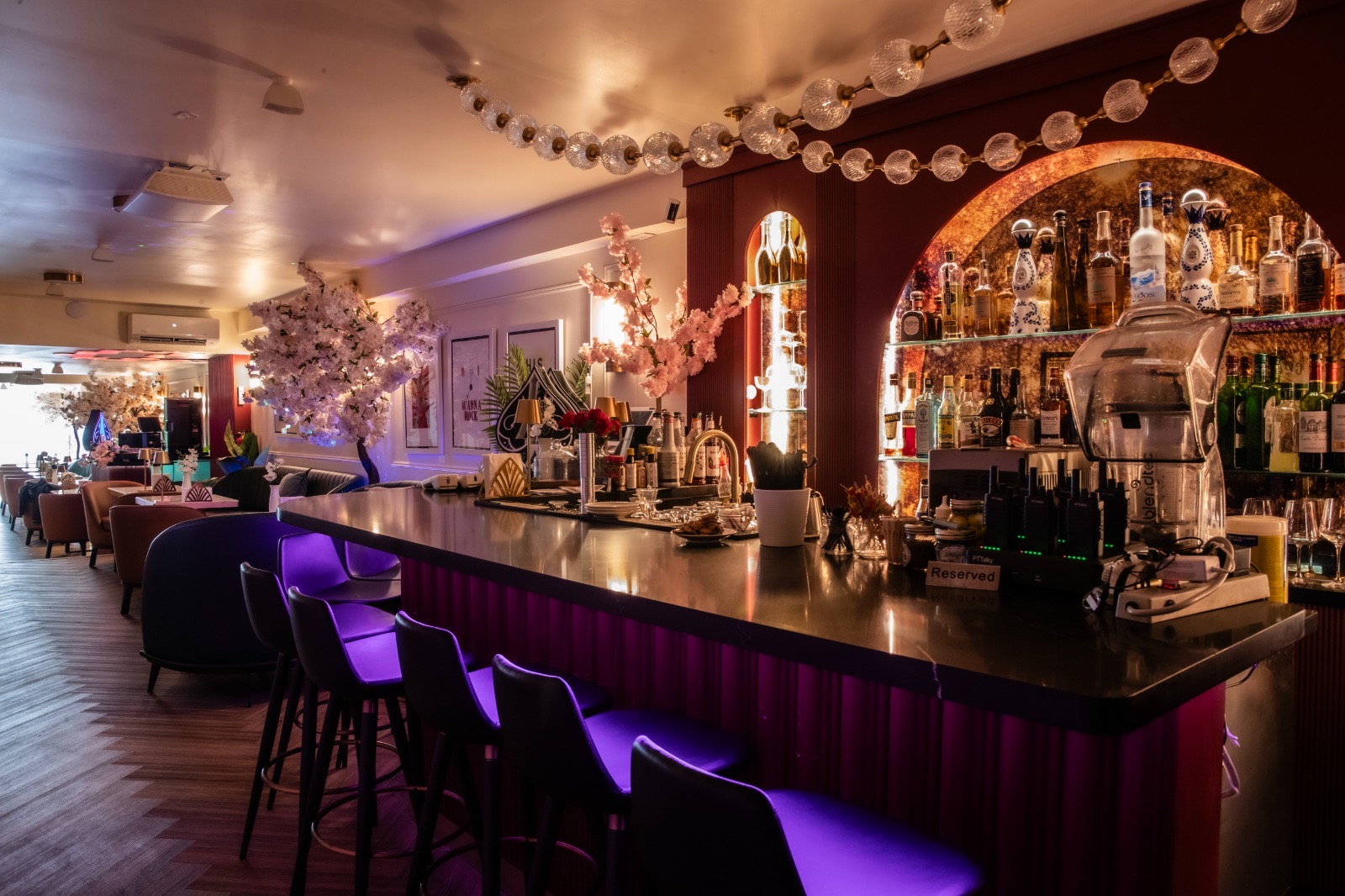 Bar Side — Violet Hour Bar stools and arched spirit display glowing in violet light