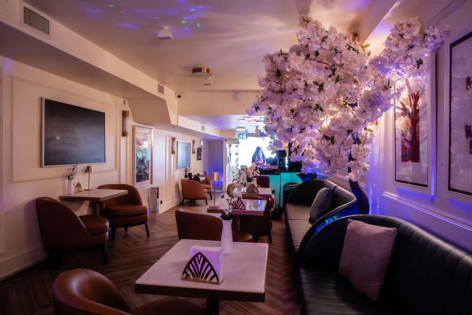 Starlit Lounge — Projected Night Sky Lounge interior with starry projector lights and blossom canopy